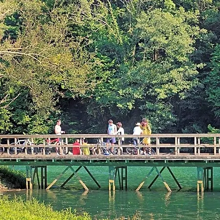 La Matuca, Senda Del Oso, Asturias * Bucida