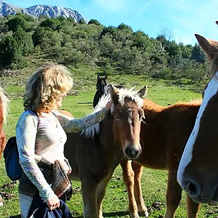 Ferienhaus La Matuca, Senda Del Oso, Asturias *