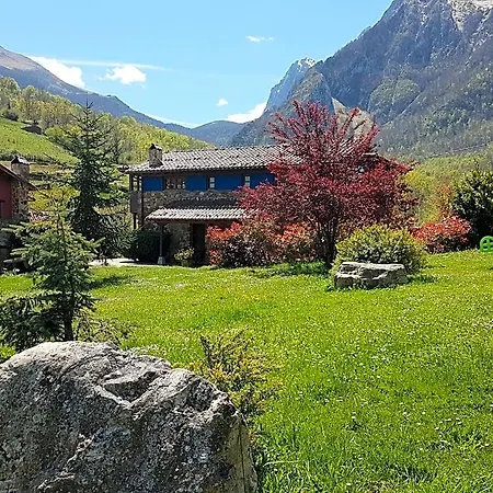 La Matuca, Senda Del Oso, Asturias * Bucida