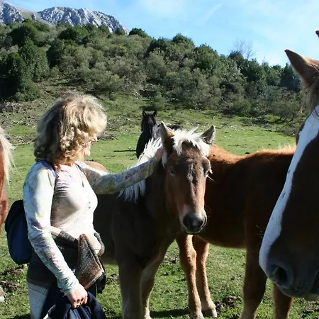 La Matuca, Senda Del Oso, Asturias Holiday home *