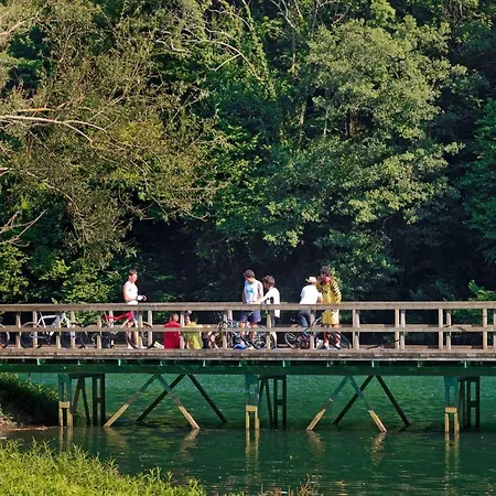 La Matuca, Senda Del Oso, Asturias * Bucida